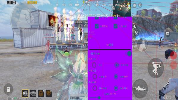 突破游戏界限:探索和平精英辅助工具的神秘世